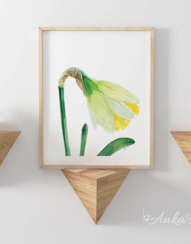 Daffodil-Painting