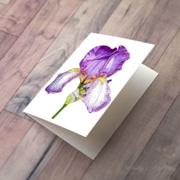 Purple-Iris-Flower-Card