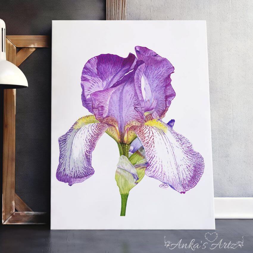 Purple Irises and bowl of lemons Giclee print 16\u201dx20\u201d on archival paper