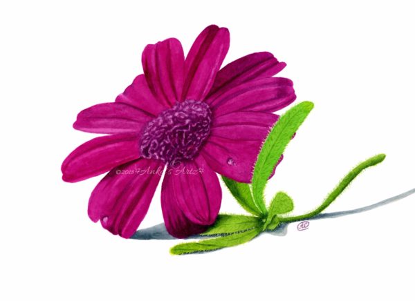 Image of purple flower print