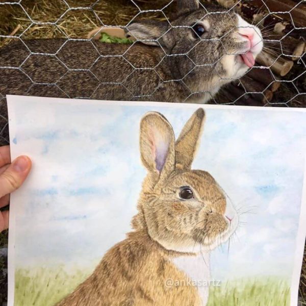 bunny-art-2