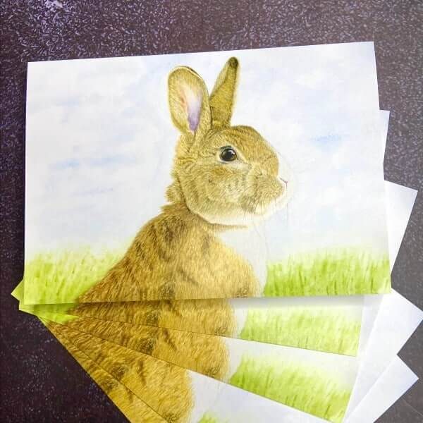 pimpkin rabbit card set